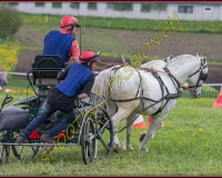 2POSIEUX 0536